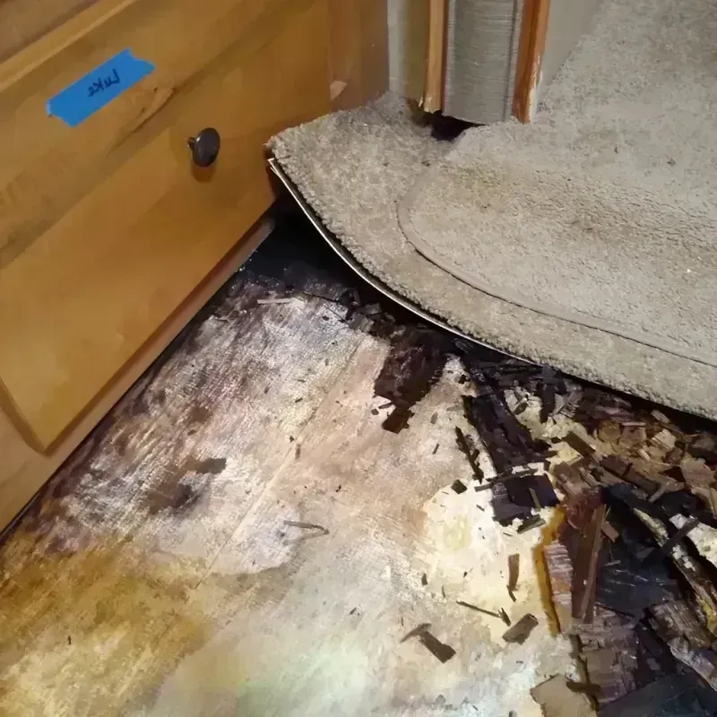 Wood Floor Water Damage in Jacksonville, FL